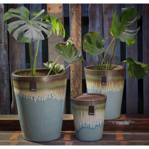 Aranżacja produktowa