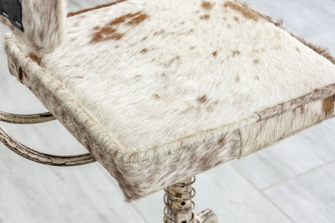 Indyjski industrialny hoker z oparciem