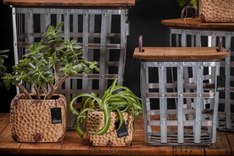 Metalowe kosze FARISA 3 sztuki ALURO