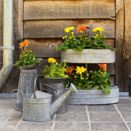 Metalowy stojak na kwiaty z kranem Clayre & Eef
