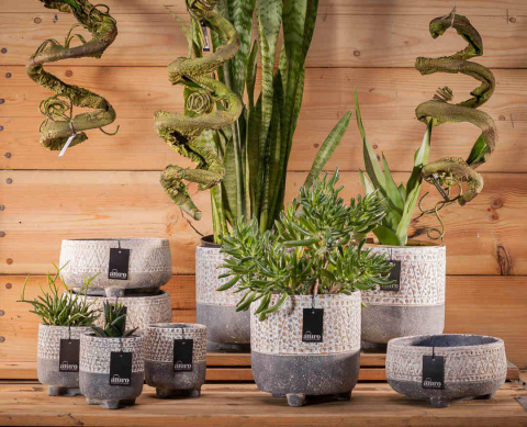 Ozdobna osłonka donica TIBURT ALURO L misa