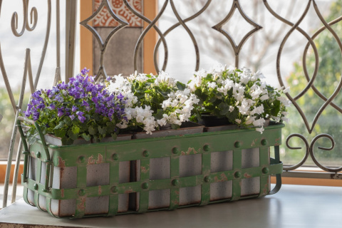 Metalowa osłonka retro na kwiaty Bertoni ALURO